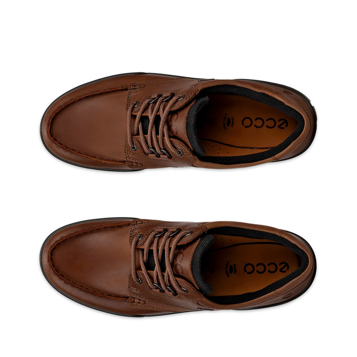 ECCO TRACK 25 GORE-TEX SHOE MEN