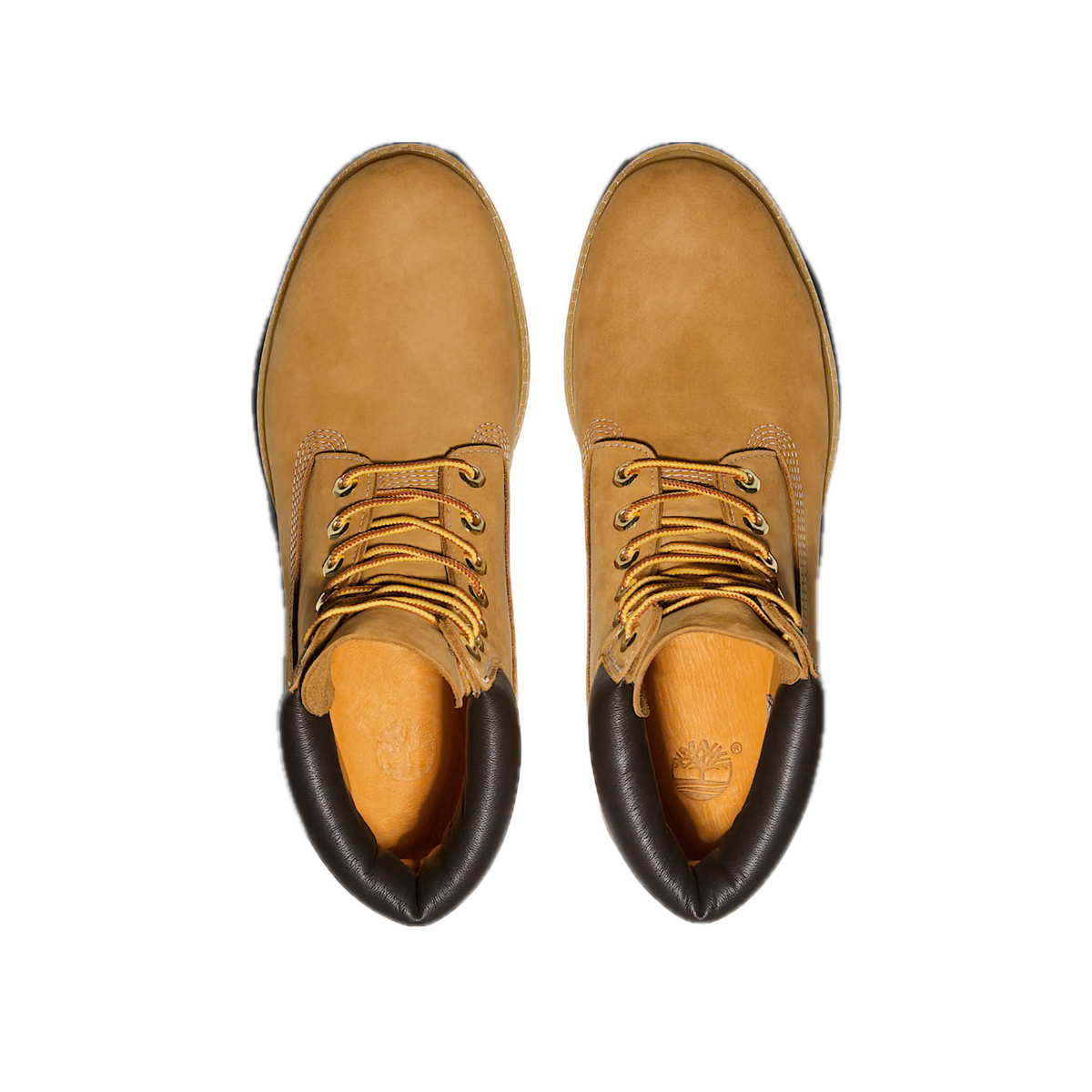 TIMBERLAND PREMIUM 6-INCH WATERPROOF BOOT MEN